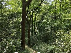 -杭州植物园