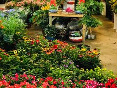-双季花艺园艺市场(浦东店)