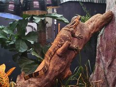 -昆明动物园