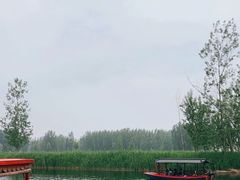 -白洋淀景区