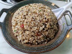 -蘑统田下·野生菌火锅