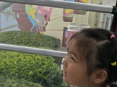 -琴岛之星摩天轮