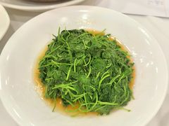 -瑞福园联谊餐室(茂名南路店)