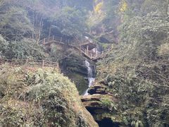 -碧峰峡风景区