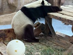 -无锡动物园·太湖欢乐园