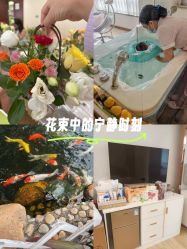 -维倪月子会所(独栋庭院·南海店)