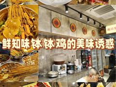 -嘉州鲜知味钵钵鸡(奎星楼店)