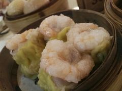 干蒸烧卖-金苑海鲜酒家(新港中路店)