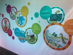 -恐龙探索乐园(磁器口店)