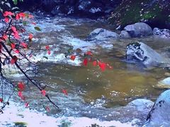 -青峰峡国家森林公园