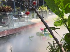 -大妙火锅·非物质文化遗产(东湖公园店)