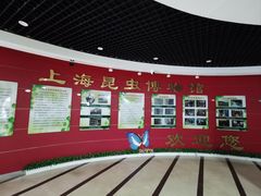 -上海昆虫博物馆