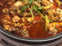 -蟹宗蟹(润达国际五楼店)