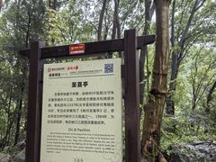 -三游洞