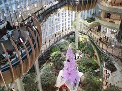 -二刀潮牛(重庆光环购物公园店)