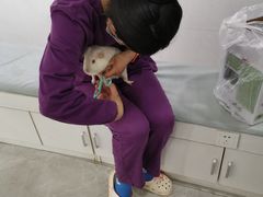 -中农国际动物医院24小时·猫科·骨科·急重症中心