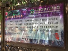 -御林古桑园