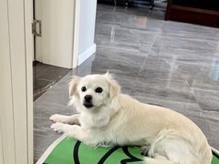 -四川老牛麻辣烫(北门桥店)