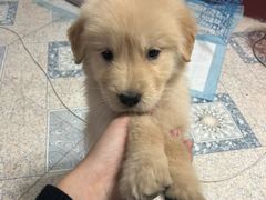 -乐宠宠物店(世纪金源店)