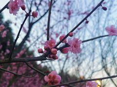 -重庆彩云湖湿地公园
