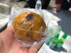 -瑞穗牧场