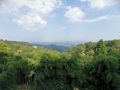 -莫干山风景区