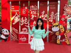 -灵玲国际马戏城