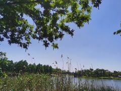 -尚贤河湿地