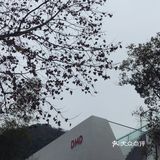 现在也风光不在，湖边的路被拦起来了，在整修