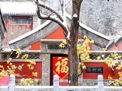 -潭柘寺景区