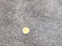 -护国寺小吃(安定门店)