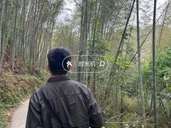 -千泷沟大瀑布旅游区