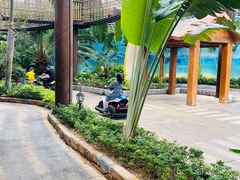 -三亚海昌梦幻海洋不夜城