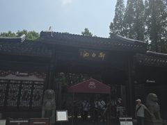 -上海醉白池公园