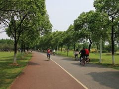 -艾溪湖湿地公园