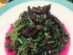 -鸽子侯·家宴·平价海鲜(市图书馆店)