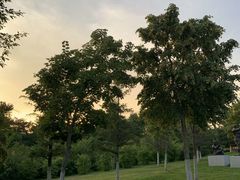 -长春市南湖公园