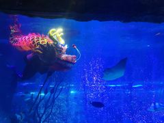 -沈阳海洋探索中心