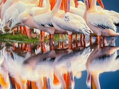 -罗红摄影艺术馆