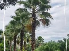 -金鸡岭桥头公园