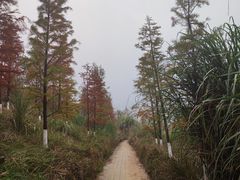 -金海湾滨江公园