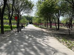 -古塔公园