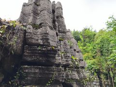 -梭布垭石林景区