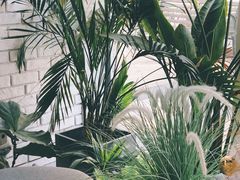 -风甜日暖·星座主题甜点(东二环泰禾店)