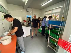 -来噻布布 Lets BUBU