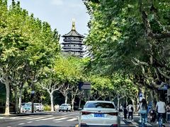 -杭州花家山庄