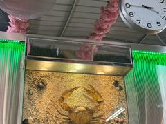 -無招牌海鮮(芽笼店)