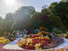 -上海共青森林公园