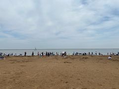 -东疆理想海岸沙滩景区