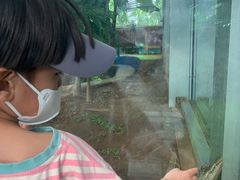 -石家庄市动物园